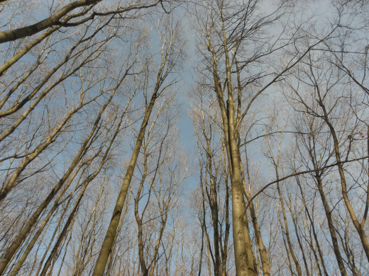 45655 (a): :1600x1200